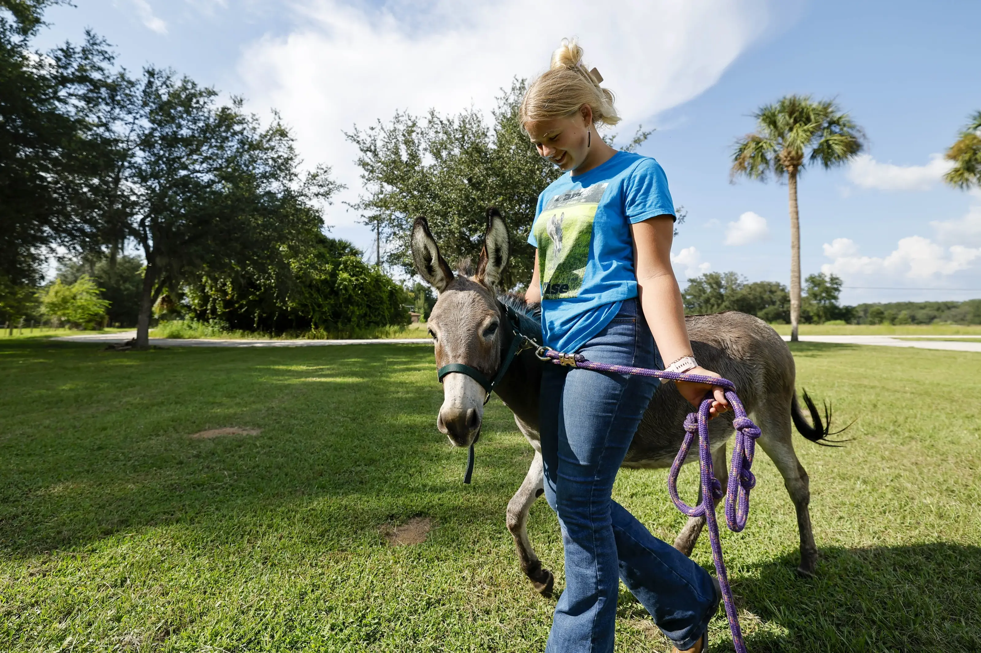 Eloise walking through a grassy property in Hernando, Florida.