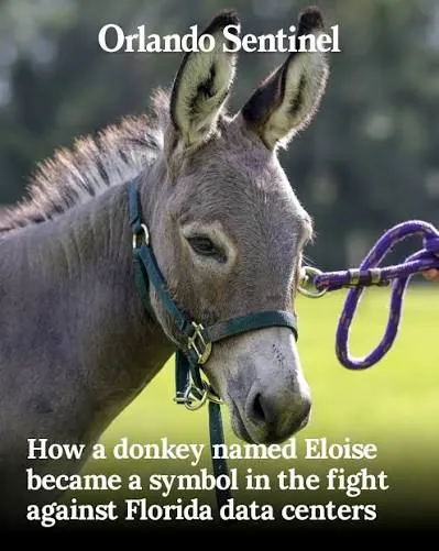 Orlando Sentinel coverage featuring Eloise with the headline “How a donkey named Eloise became a symbol in the fight against Florida data centers.”